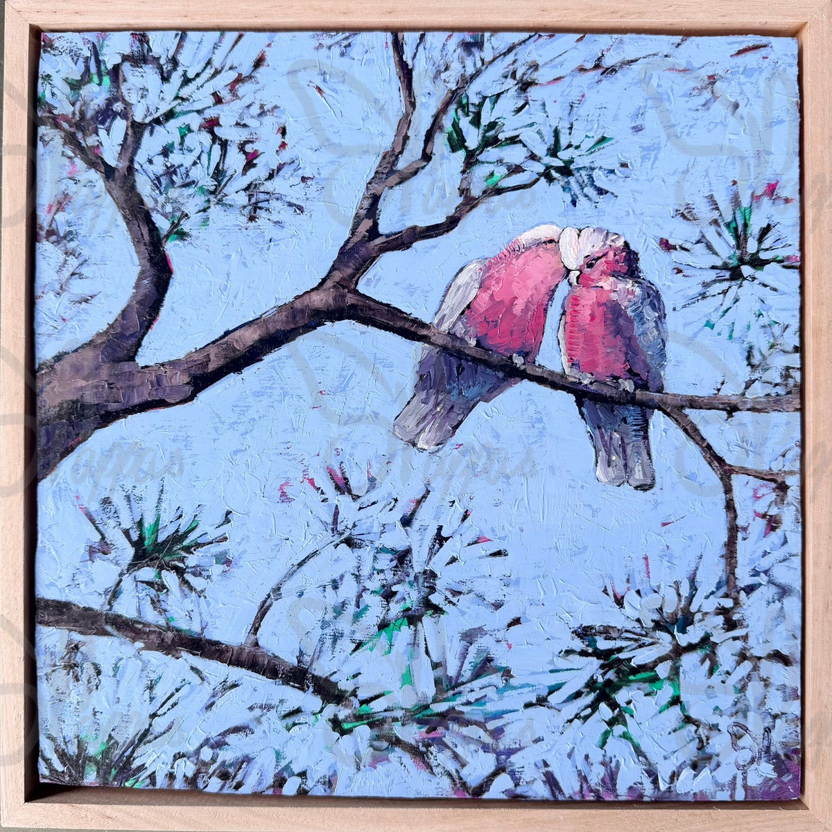 Galah oil painting by Australian Contemporary artist Shay Pappas