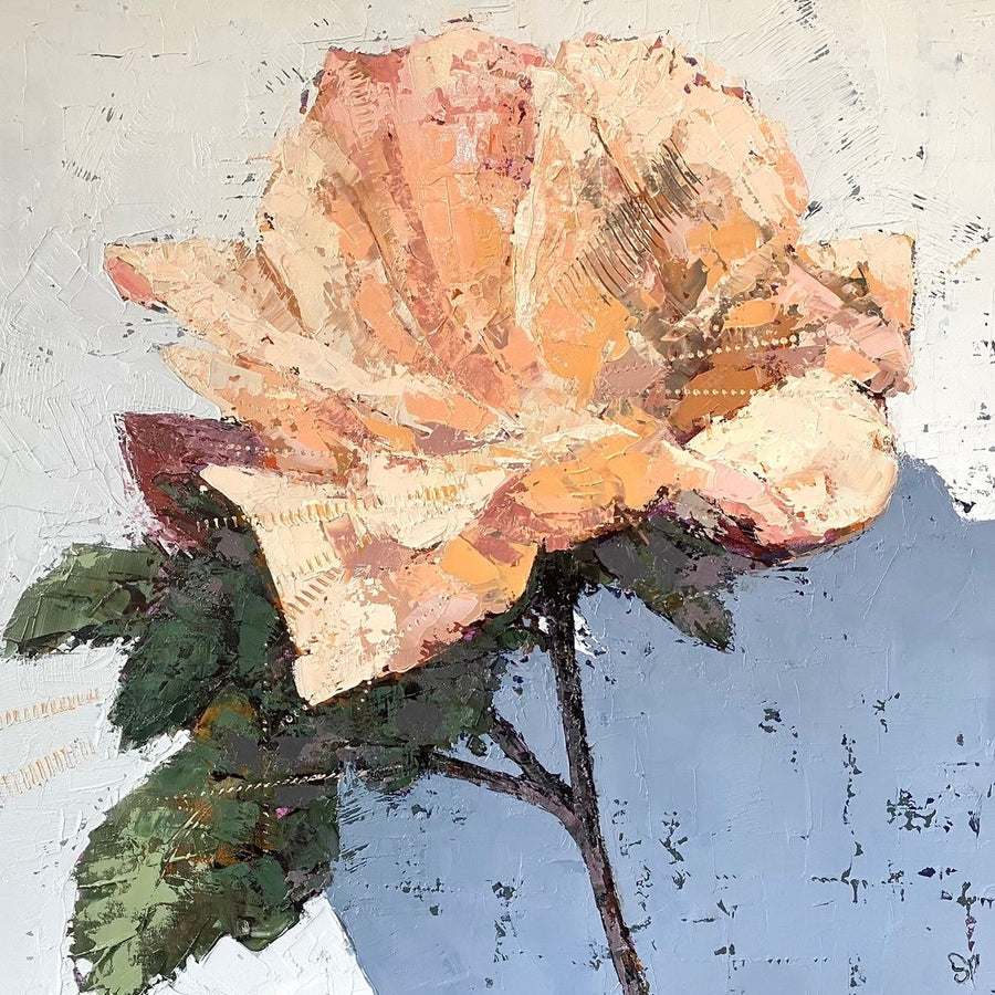 Bloom