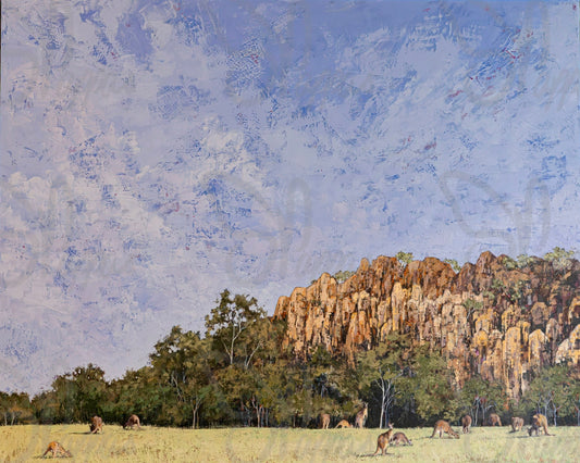 Large original oil painting by Shay Pappas.  Mob of Kangaroos at Hanging Rock, Macedon Ranges Victoria