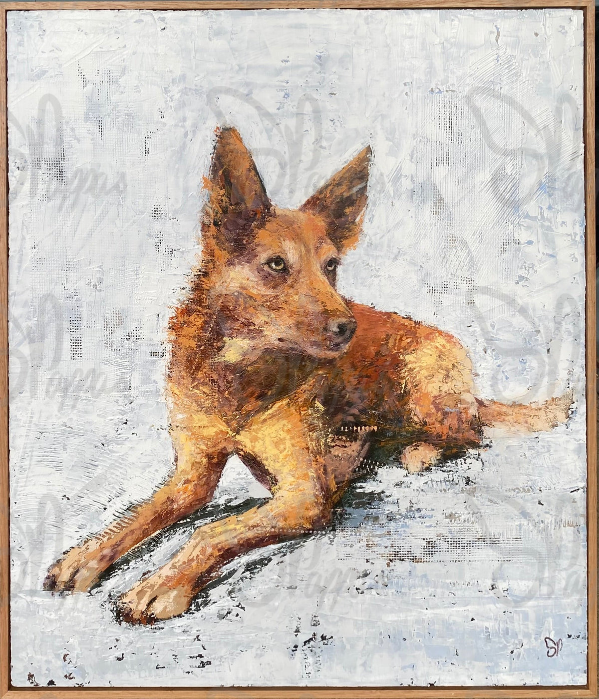 original oil painting by shay pappas of Australian Kelpie Working Dog