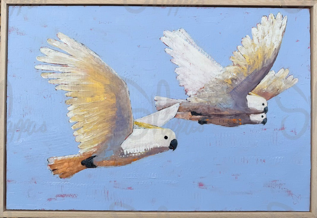 three white cockatoos flying through the blue sky.  original painting by Shay Pappas