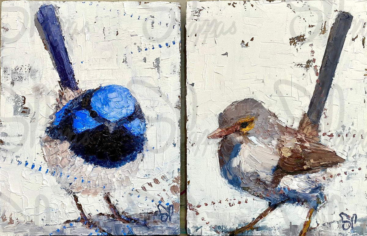 male and female superb fairy wren original oil painting by macedon ranges artist shay pappas