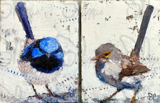 male and female superb fairy wren original oil painting by macedon ranges artist shay pappas